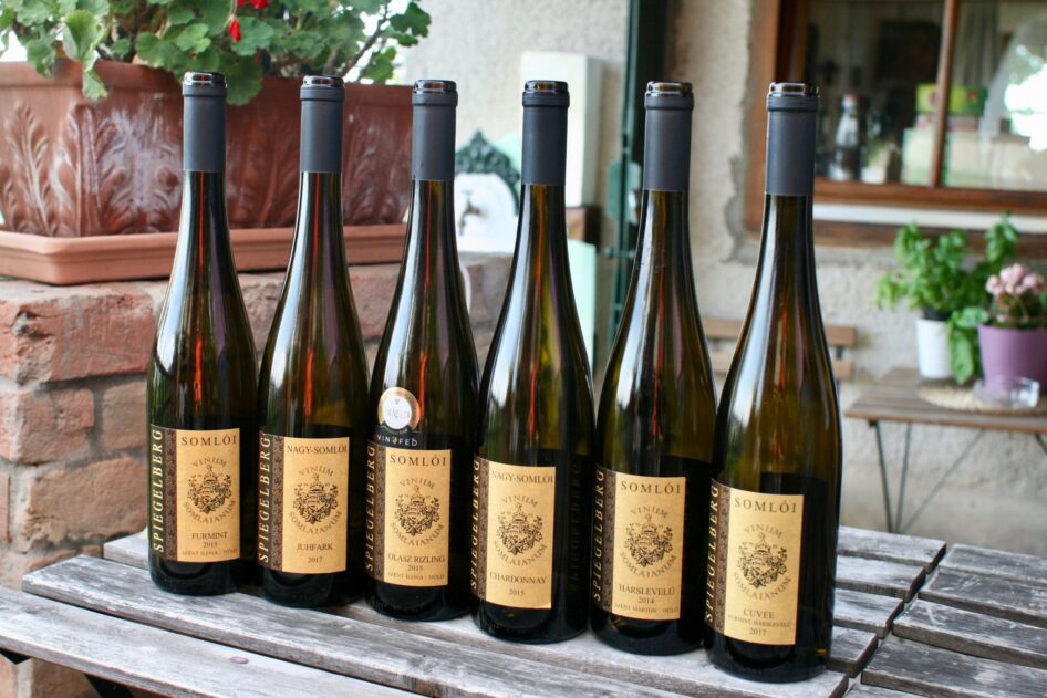 Nagy Somló PDO: A Guide to the Wine Region - Taste Hungary